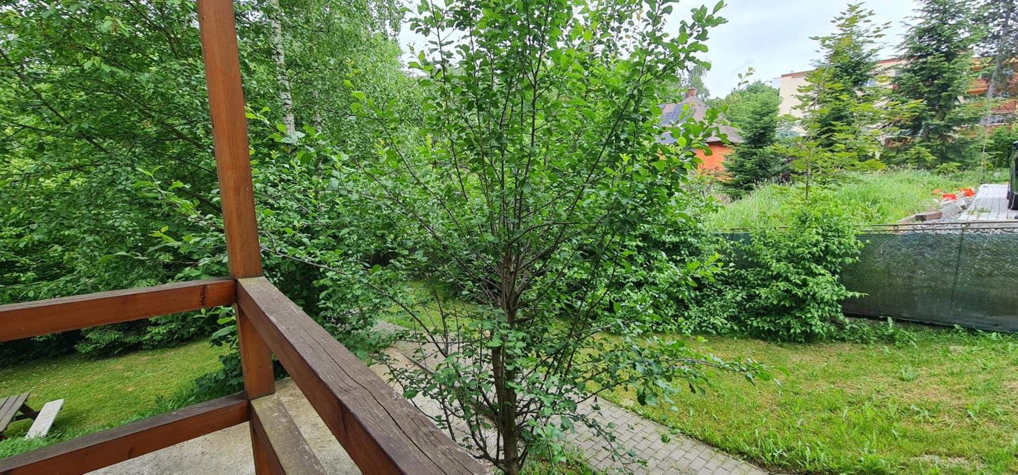 Apartmany Orlova Екстер'єр фото